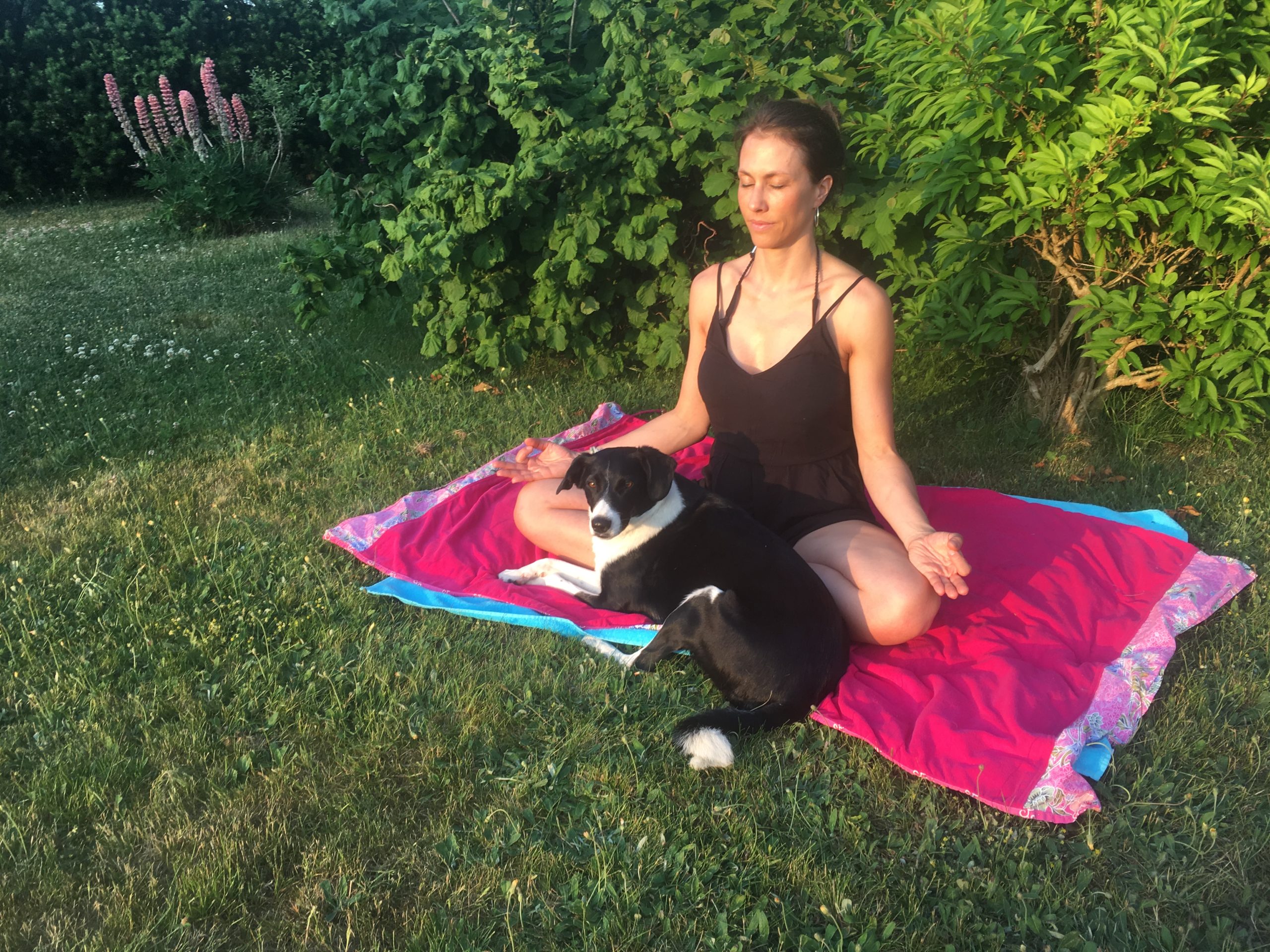 Wiebke Lindemann Meditation mit Hund